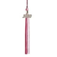 thumbnail image 1 of Class Act Graduation Graduation Tassel - 2020 - Silver Charm - 2 Color, Maroon / White, 1 of 9