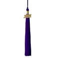 thumbnail image 1 of Class Act Graduation Graduation Tassel - 2021 - Gold Charm - 1 Color, Purple, 1 of 8