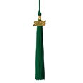 thumbnail image 1 of Class Act Graduation Graduation Tassel - 2024 - Gold Charm - 1 Color, Green, 1 of 9