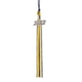 thumbnail image 1 of Class Act Graduation Graduation Tassel - 2022 - Silver Charm - 3 Color, Navy / Light Blue / Gold, 1 of 9