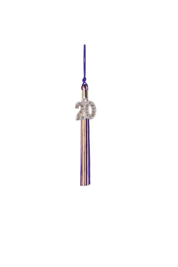 Kindergarten Graduation Tassel - 2019 - Bling Charm - 2 Color, Purple / Old Gold