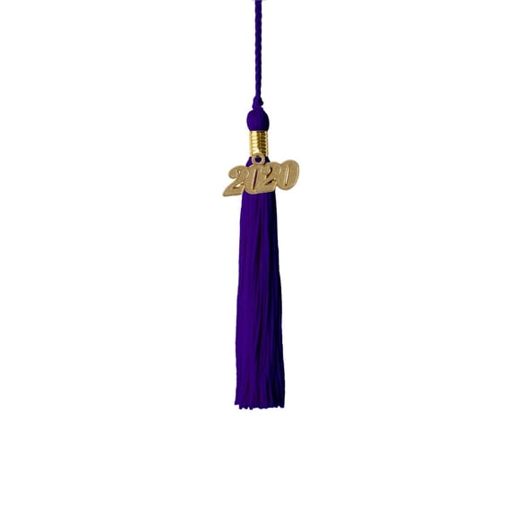 Class Act Graduation Kindergarten Graduation Tassel - 2019 - Gold Charm - 1 Color, Purple