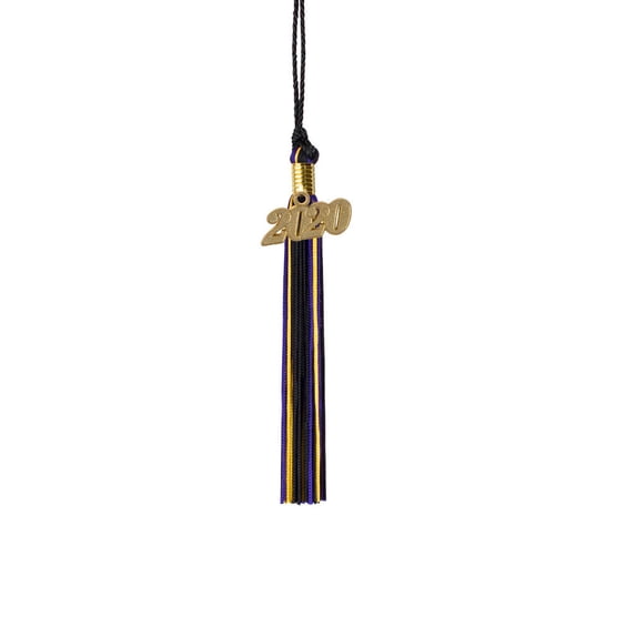 Class Act Graduation Kindergarten Graduation Tassel - 2019 - Gold Charm - 3 Color, Black / Purple / Gold