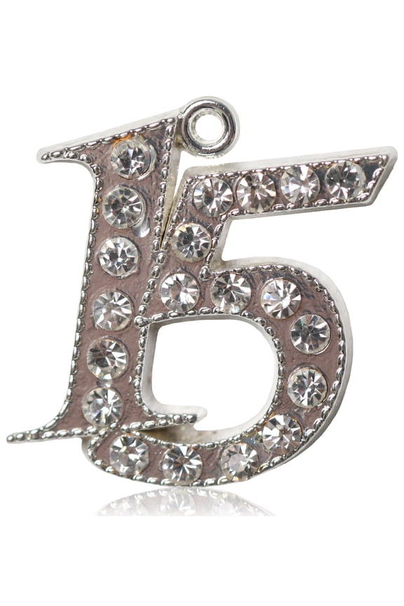 Year 2015 Charms, Bling