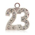 thumbnail image 1 of Class Act Graduation Year Drop Date Signet for Graduation Tassel, Bling, 1 of 9