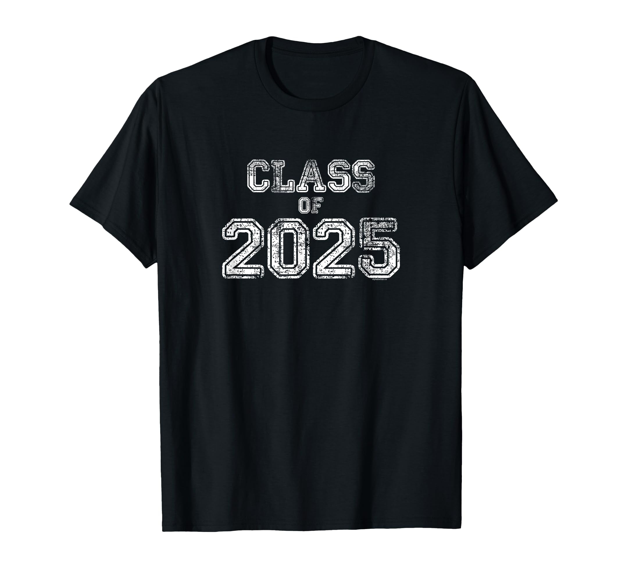 Class of 2025 Senior 2025 Graduation Vintage School Spirit TShirt
