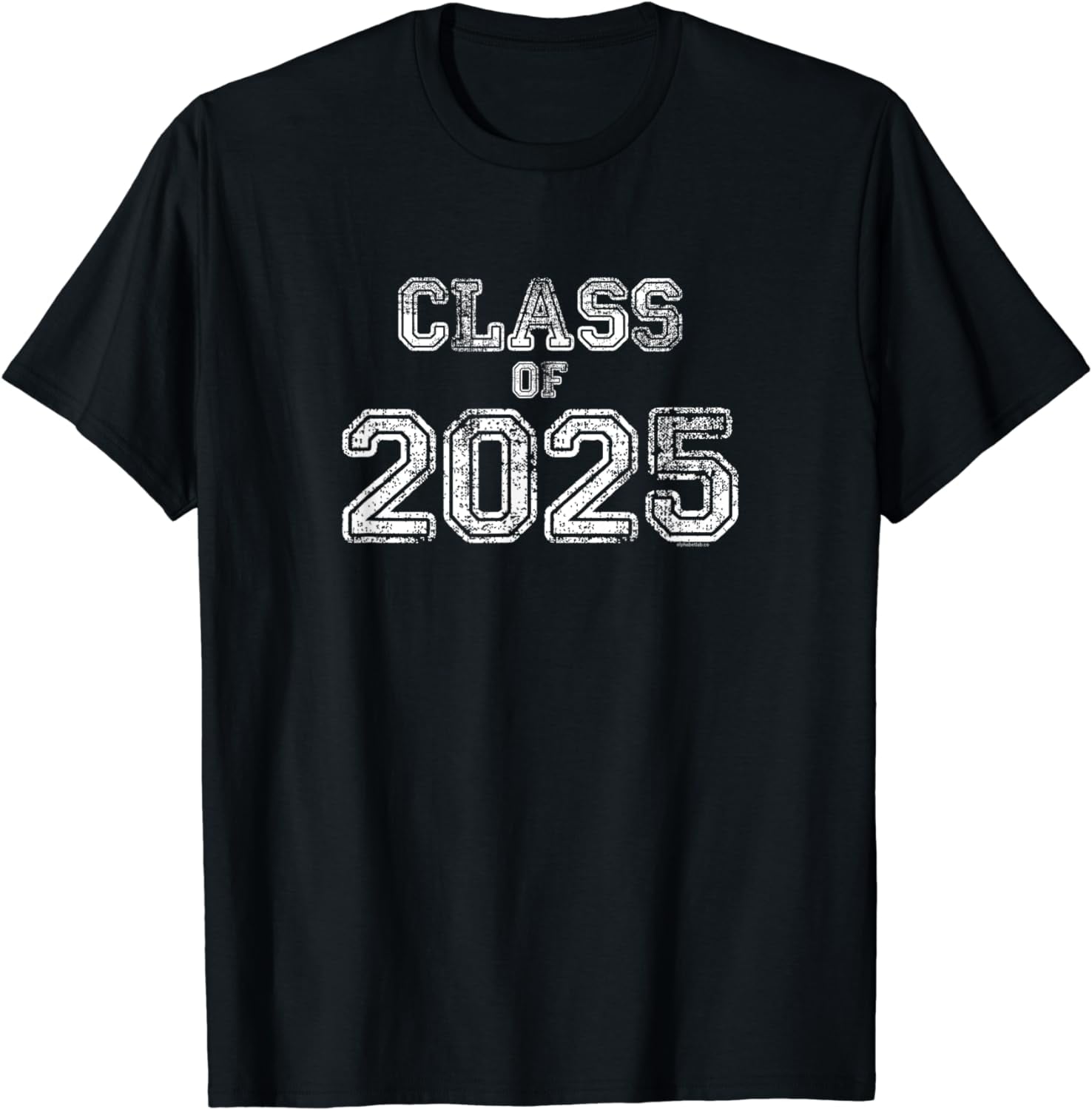 Class of 2025 Senior 2025 Graduation Vintage School Spirit TShirt