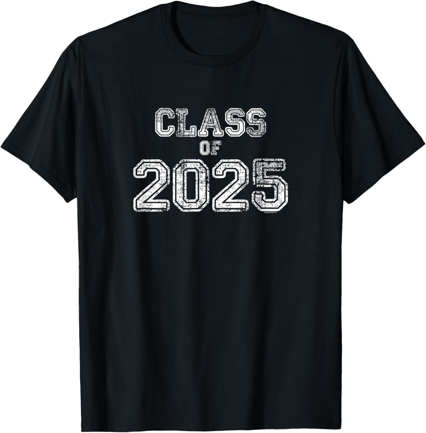 Class of 2025 Senior 2025 Graduation Vintage School Spirit TShirt