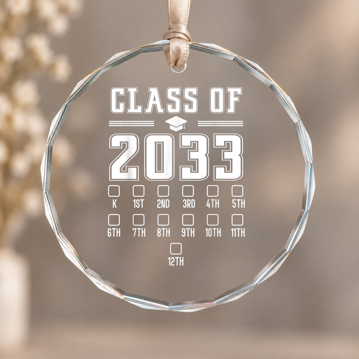 Class First Day Class of 2033 Grow with Me First Day of School Check Mark Christmas ...