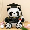 thumbnail image 1 of Class of Graduation Bear - 10 Inch Stuffed Animal with Cap & Diploma, Soft Plush Gift for Graduate, College & High School Senior Present Multicolor, 1 of 5