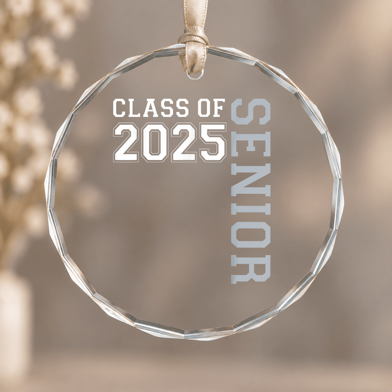 Class of Seniors Graduate College Graduation Ornament, Indoor ...