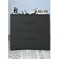 thumbnail image 1 of Classic 2 2 -Drawer Lateral Filing Cabinet, Simple and Generous Storage File Cabinet, Solid Wood Frame & Drawers Removable for Home Office, Black, 1 of 9