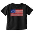 thumbnail image 1 of Classic American Flag USA Pride Toddler Boy Girl T Shirt Infant Toddler Brisco Brands 2T, 1 of 6