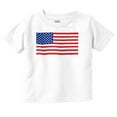thumbnail image 1 of Classic American Flag USA Pride Toddler Boy Girl T Shirt Infant Toddler Brisco Brands 4T, 1 of 6