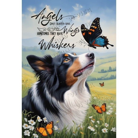 Classic Border Collie Aluminum Tin Sign - Angels Don't Always Have Wings - Suitable for Cafes, Pubs, and Restrooms - 12x8 Inches