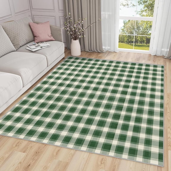 Classic Check Area Rugs, Green White Gingham Carpet, Washable Non Slip Low Pile Soft Rug for Living Room Bedroom Decor Mat 2x3ft