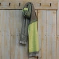 thumbnail image 1 of Classic Colorblock Scarf, 20 x 70, 100% Acrylic, Multiple Colors, 1 of 3