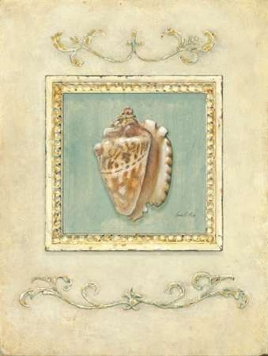 Classic Conch Canvas Art - Arnie Fisk (22 x 28)