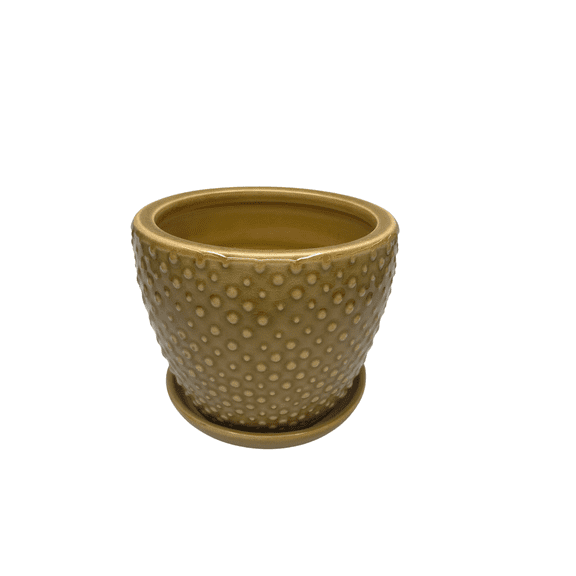 Classic Dot Planter with Attached Saucer - 6" x 5" - Marigold