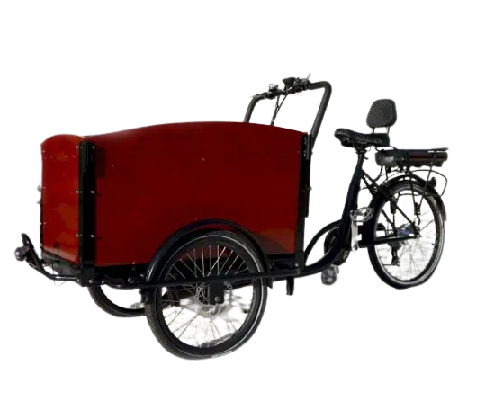 Classic Electric Dutch Cargo Tricycle | 500W Motor, 350 lbs Capacity | Family Cargo Bike with Removable Seats & Seat Belts