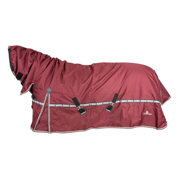 Classic Equine 10K Trainer Hooded Winter