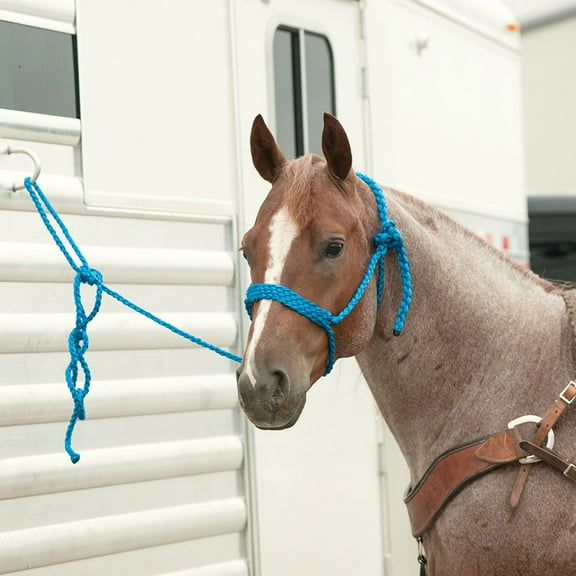 Classic Equine Braided Nylon Tape Halter, White