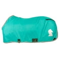 thumbnail image 1 of Classic Equine  Closed Front Stable Sheet Turquoise M, 1 of 4
