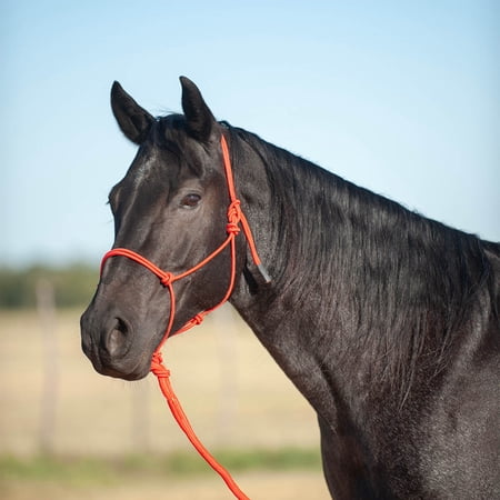 Classic Equine Econo Rope Halter and 8-foot Leadrope, Red