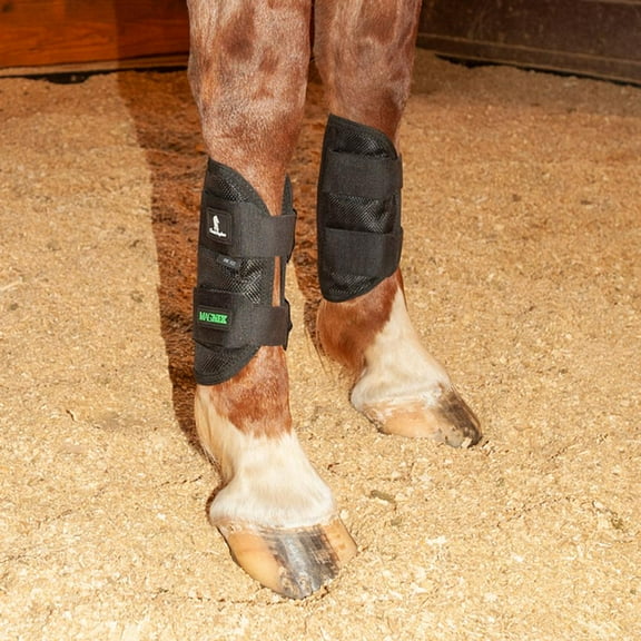 Classic Equine Magntx Tendon Wrap