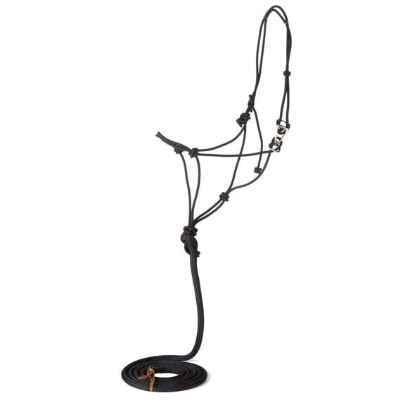 Classic Equine Premium Quick Change Halter with 9ft Lea Black AVERAGE