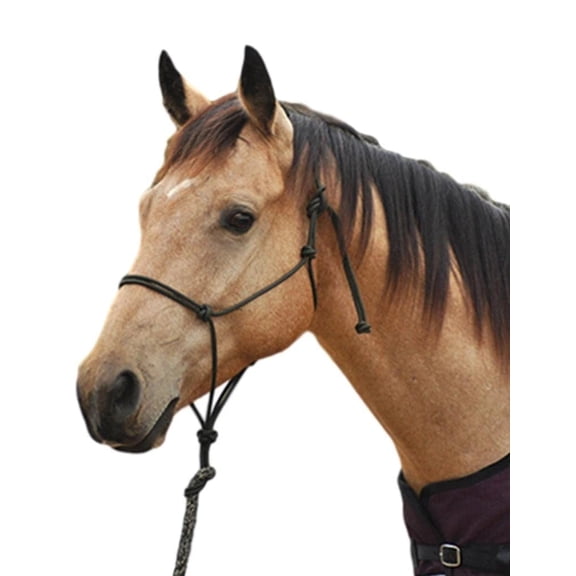 Classic Equine Premium Rope Halter