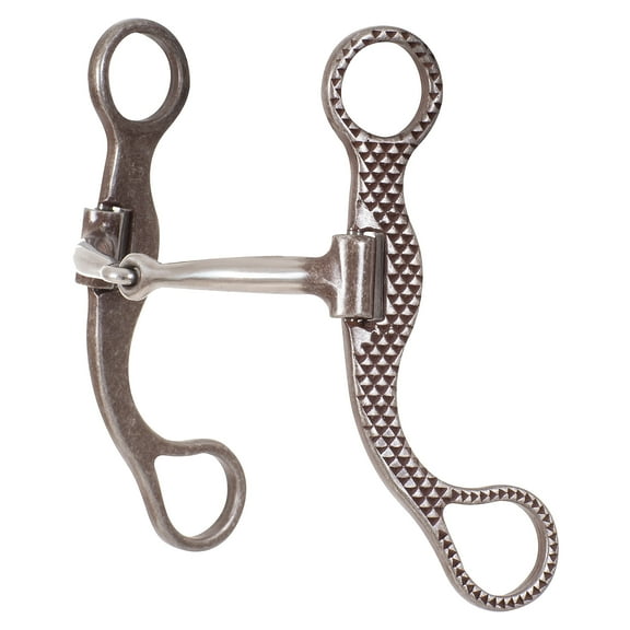 Classic Equine Rasp Straight 6in Shank Bit with Smooth