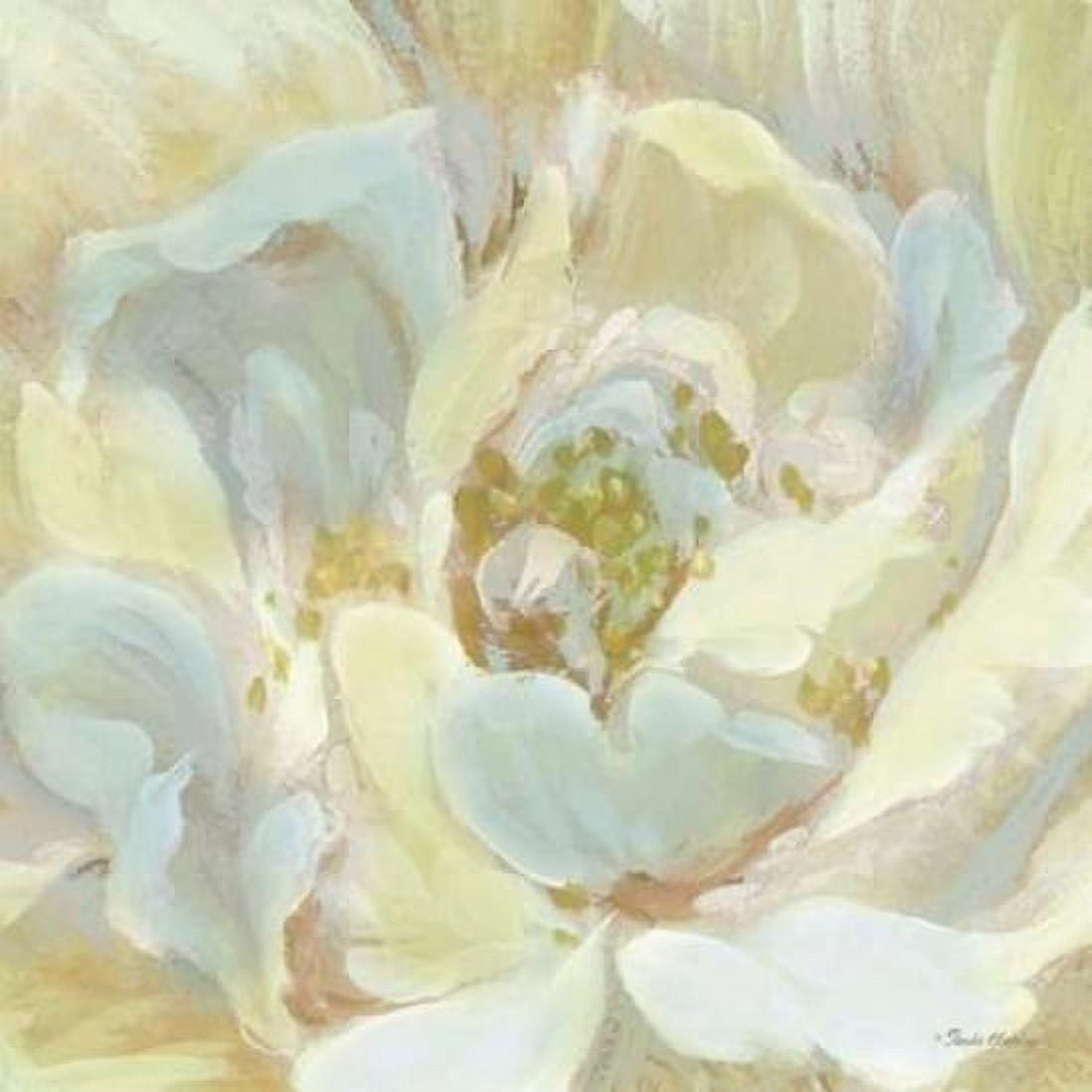 Classic Floral Study I Canvas Art - Pamela Gladding (24 x 24)