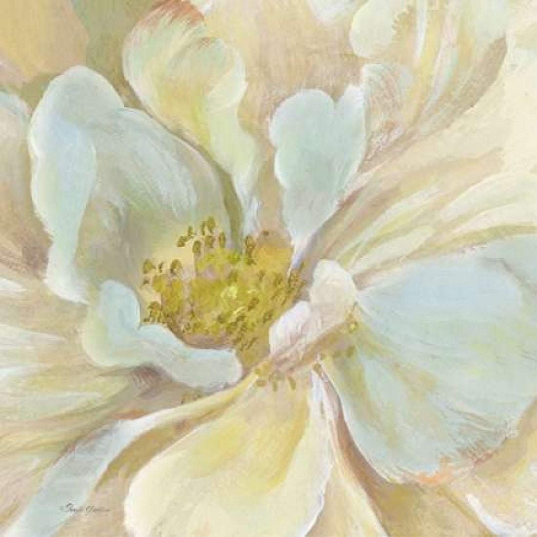 Classic Floral Study II Canvas Art - Pamela Gladding (24 x 24)