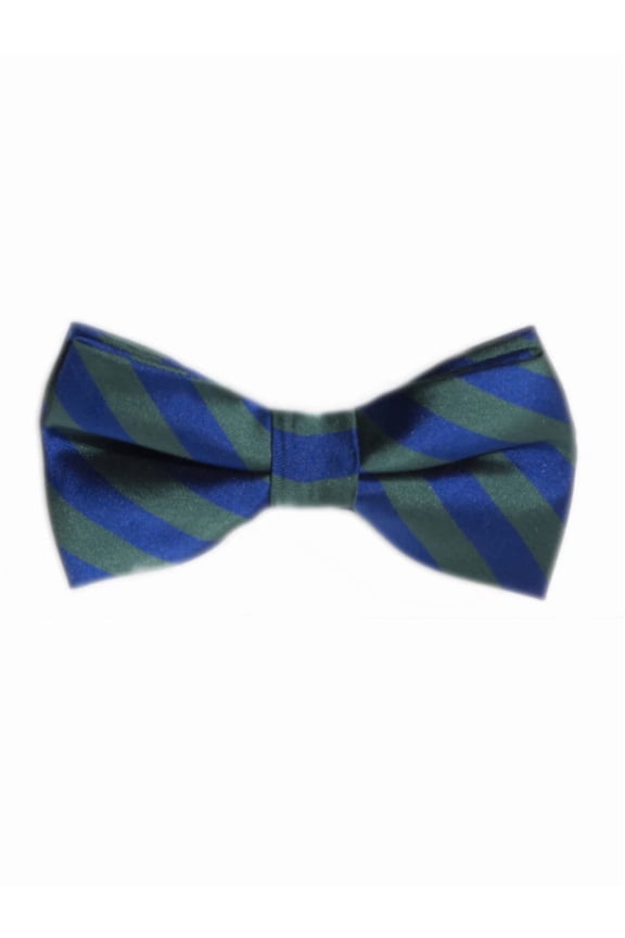 Classic Green Blue School Boy Nerd Punk Costume Striped Bow Tie