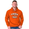 thumbnail image 1 of Classic Halloween Trick or Treat Unisex Plus Fleece Graphic Hoodie Brisco Brands 2X, 1 of 5
