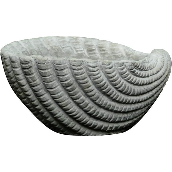 Classic Home and Garden Indoor/Outdoor Cement Succulent Planter with Drainage Hole, Sea Shell, Gray, 5"