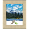 thumbnail image 1 of Classic Honey Silver Picture Frame, Photo Frame, Art Frame, 1 of 1