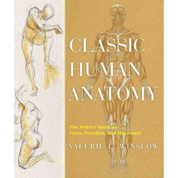 Classic Human Anatomy : The Artist's Guide to Form, Function, and Movement (Hardcover)