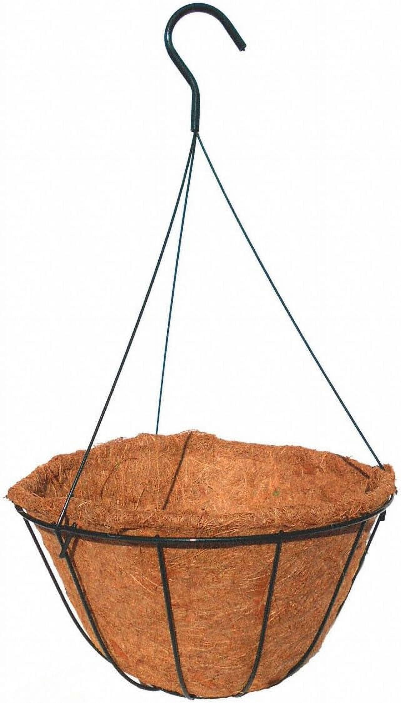 Classic Master Gardener Hanging Basket with Moss Liner and Wire Hanger