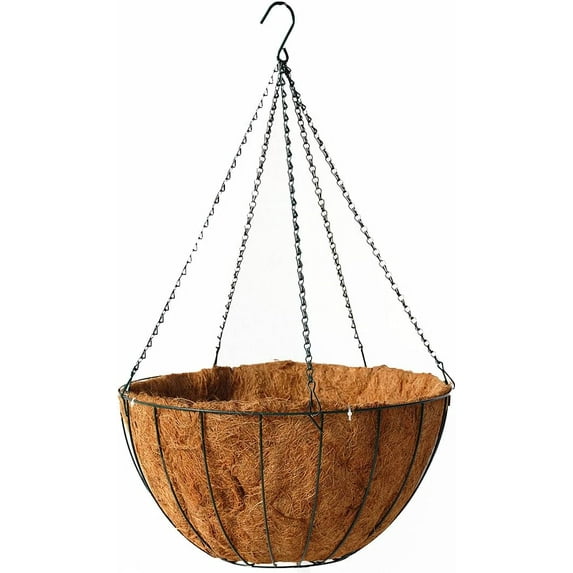 Classic Master Gardner Planter Green with Moss Liner and 5-Strand Chain Hanger