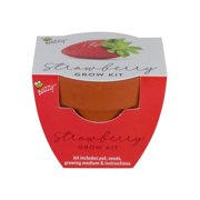 Classic Mini Terracotta Strawberry Plant Pots, 12-Pack