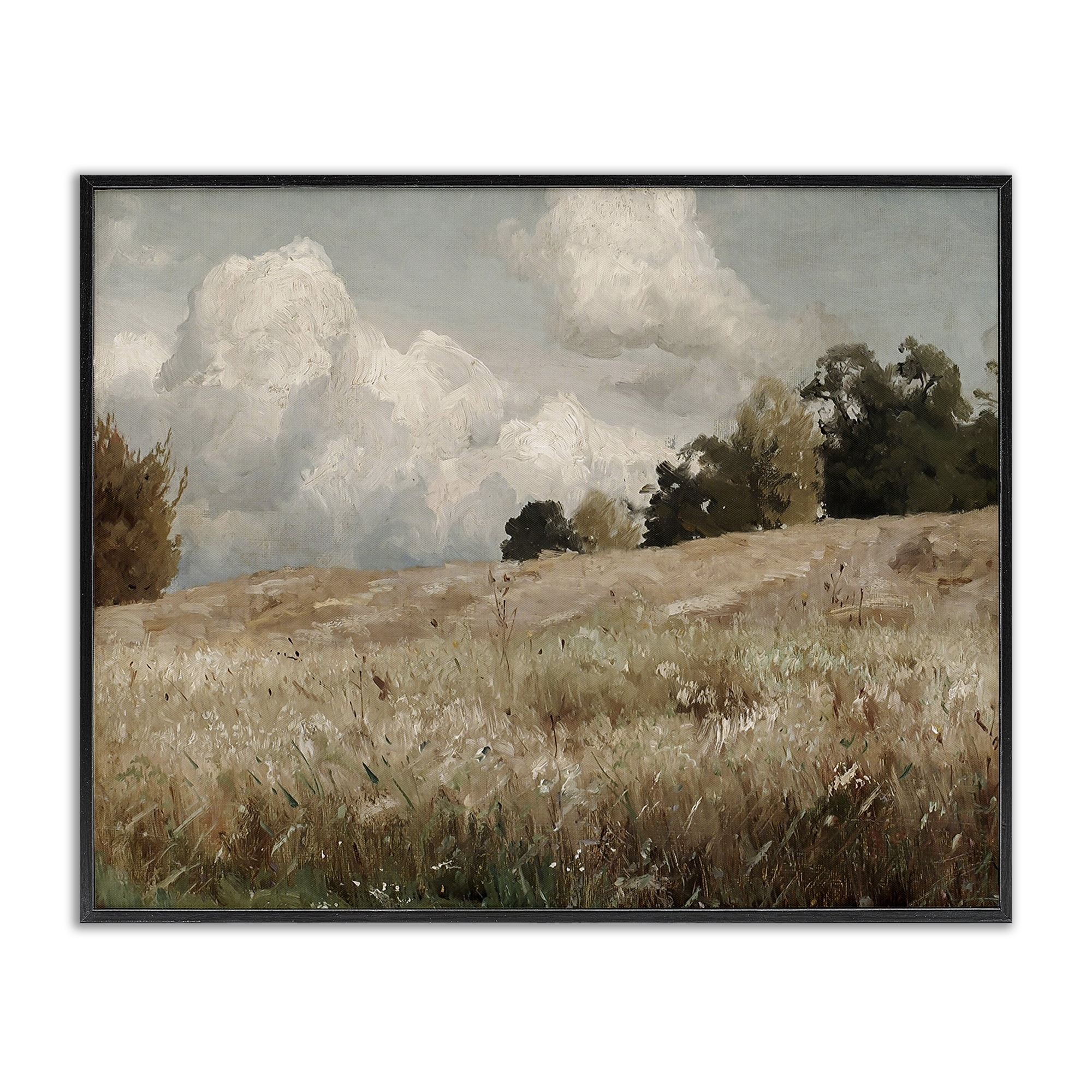 Classic Cloudy Field Landscape Black Framed Giclee Art, 14 x 11