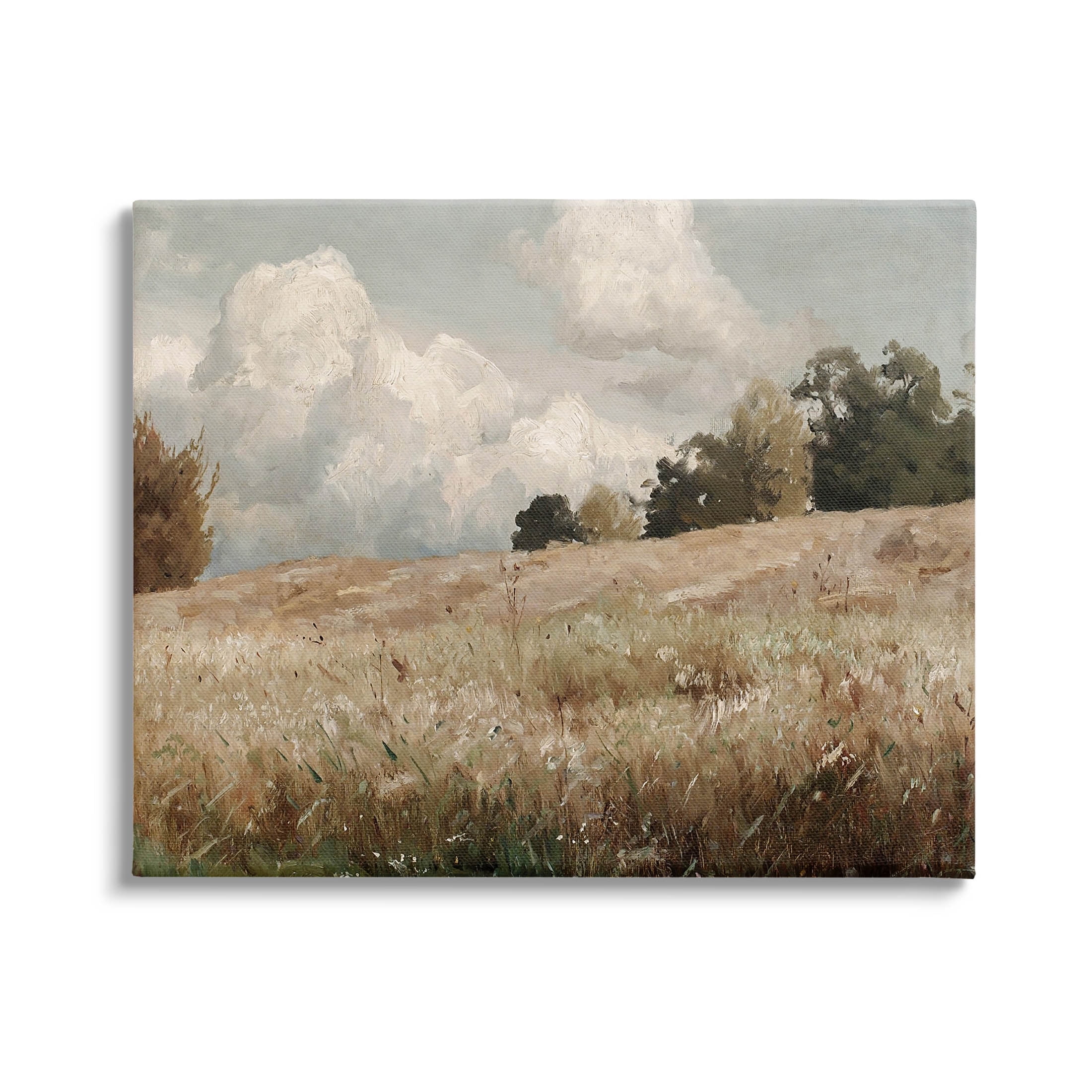 Classic Nature Field Landscape Canvas Wall Art with Wooden Frame