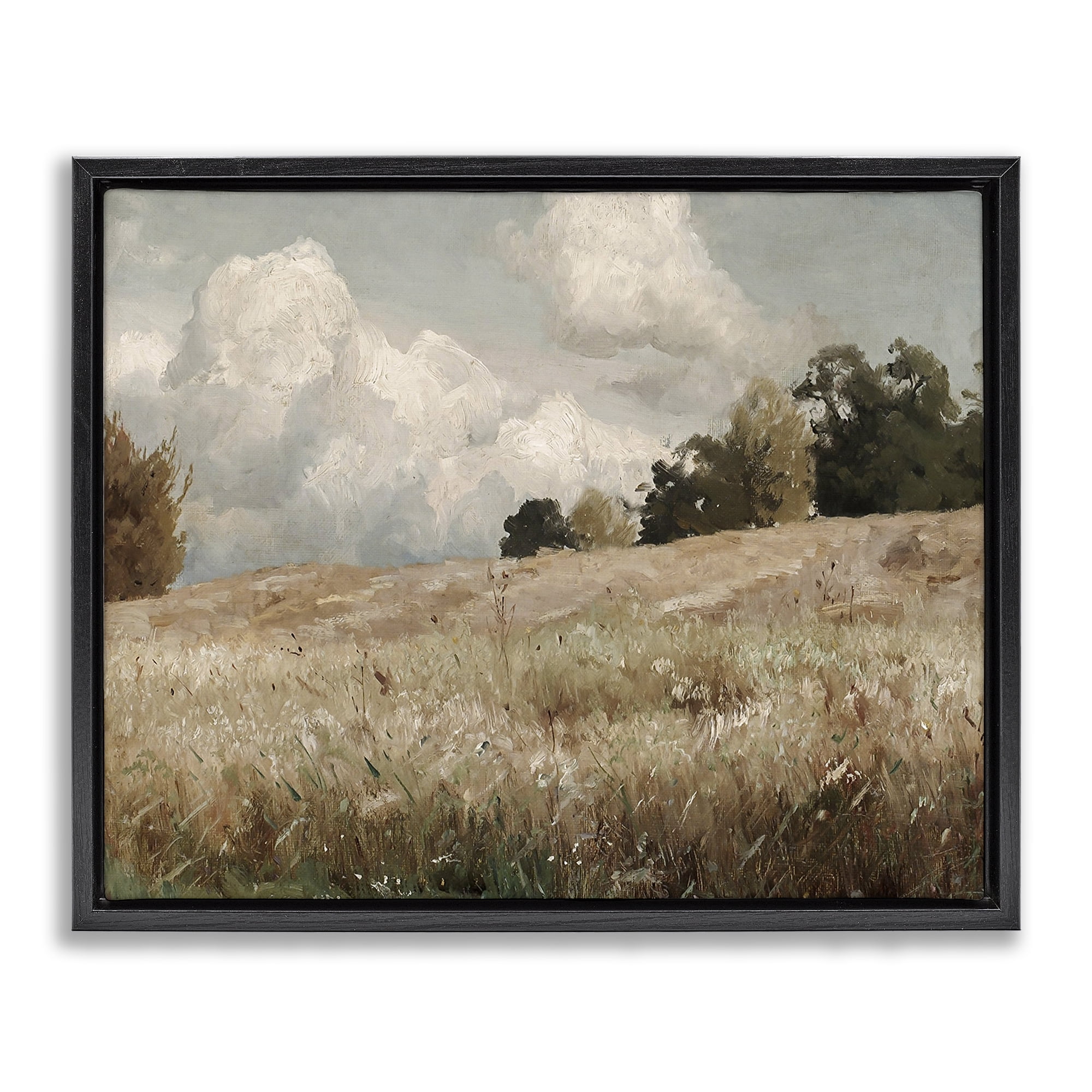 Classic Cloudy Field Landscape Black Floating Frame Canvas Art, 21 x 17