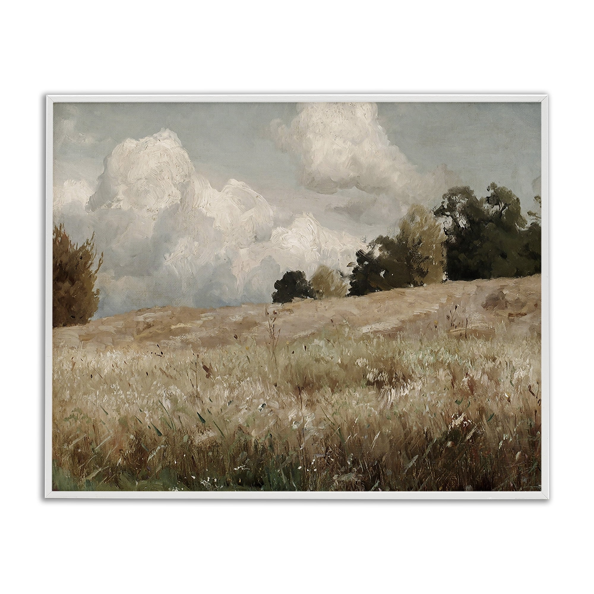 Classic Cloudy Field Landscape White Framed Giclee Art, 20 x 16