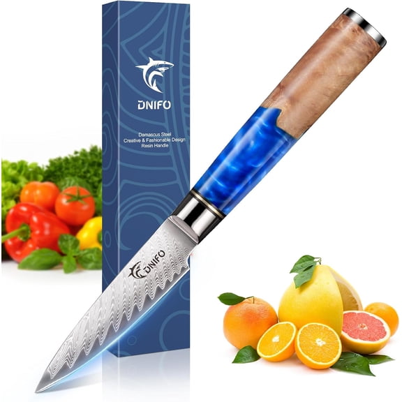 Classic Paring Knife 3.5 Inch, Japanese VG10 Steel Damascus Fruit Knife, Sharp Small Kitchen Knife with Gift Box and Resin Wood Handle,Ideal Birthday Gift for Men and Women
