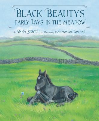 Classic Picture Books: Black Beauty's Early Days in the Meadow (Hardcover) - image 1 of 1