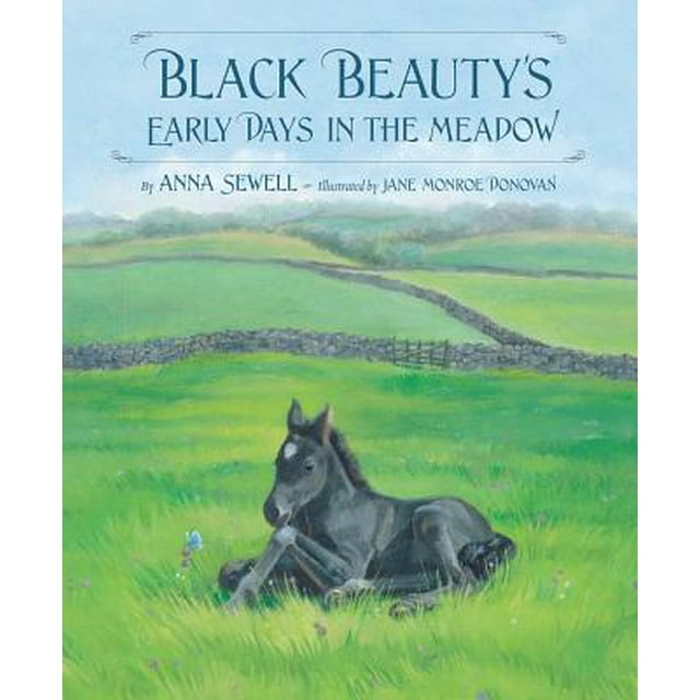 Classic Picture Books: Black Beauty's Early Days in the Meadow (Hardcover)