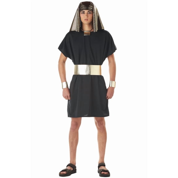Adult  Pharaoh Men Historical Costume Small